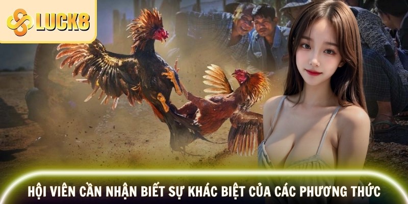 Đá Gà Đòn LUCK8 – Đấu Trí Đỉnh Cao, Nổ Thưởng Cực Lớn 4 Hội viên cần nhận biết sự khác biệt của các phương thức