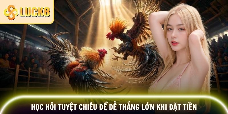 Đá Gà Đòn LUCK8 – Đấu Trí Đỉnh Cao, Nổ Thưởng Cực Lớn 3 Học hỏi tuyệt chiêu để dễ thắng lớn khi đặt tiền