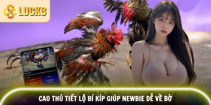 Cao thủ tiết lộ bí kíp giúp newbie dễ về bờ