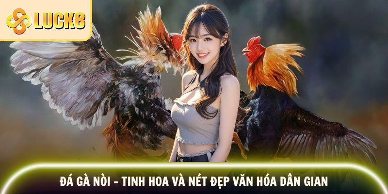 Đá Gà Nòi - Tinh Hoa Và Nét Đẹp Văn Hóa Dân Gian