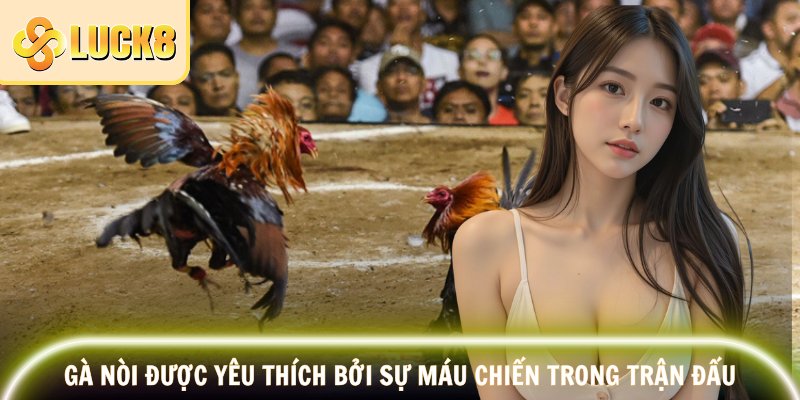 Gà Nòi LUCK8 – Dòng Chiến Kê Bất Khuất, Nổ Thưởng Đỉnh Cao 2 Gà nòi được yêu thích bởi sự máu chiến trong trận đấu