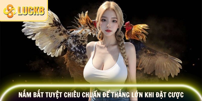 Gà Nòi LUCK8 – Dòng Chiến Kê Bất Khuất, Nổ Thưởng Đỉnh Cao 3 Nắm bắt tuyệt chiêu chuẩn để thắng lớn khi đặt cược