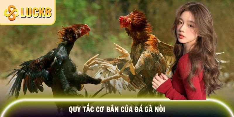 Đá Gà Nòi - Tinh Hoa Và Nét Đẹp Văn Hóa Dân Gian 4 Quy tắc cơ bản trong trận đấu gà nòi cần tuân thủ