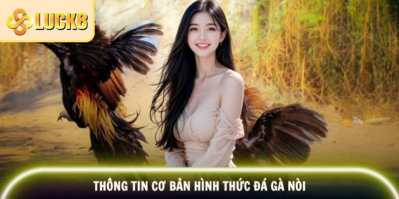 Đá Gà Nòi - Tinh Hoa Và Nét Đẹp Văn Hóa Dân Gian 2 Thông tin về loại hình giải trí đá gà nòi
