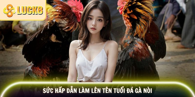 Đá Gà Nòi - Tinh Hoa Và Nét Đẹp Văn Hóa Dân Gian 3 Ưu điểm cuốn hút của hình thức chọi kê vạn người mê